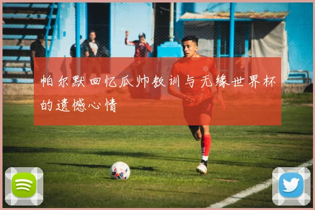 帕尔默回忆瓜帅教训与无缘世界杯的遗憾心情